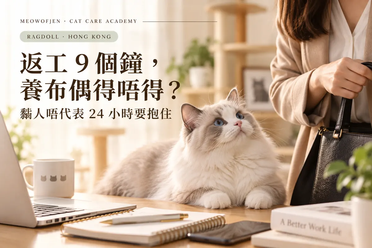 布偶性格｜親人係大方向，但唔代表每一隻都任抱｜Meowofjen 養貓學院