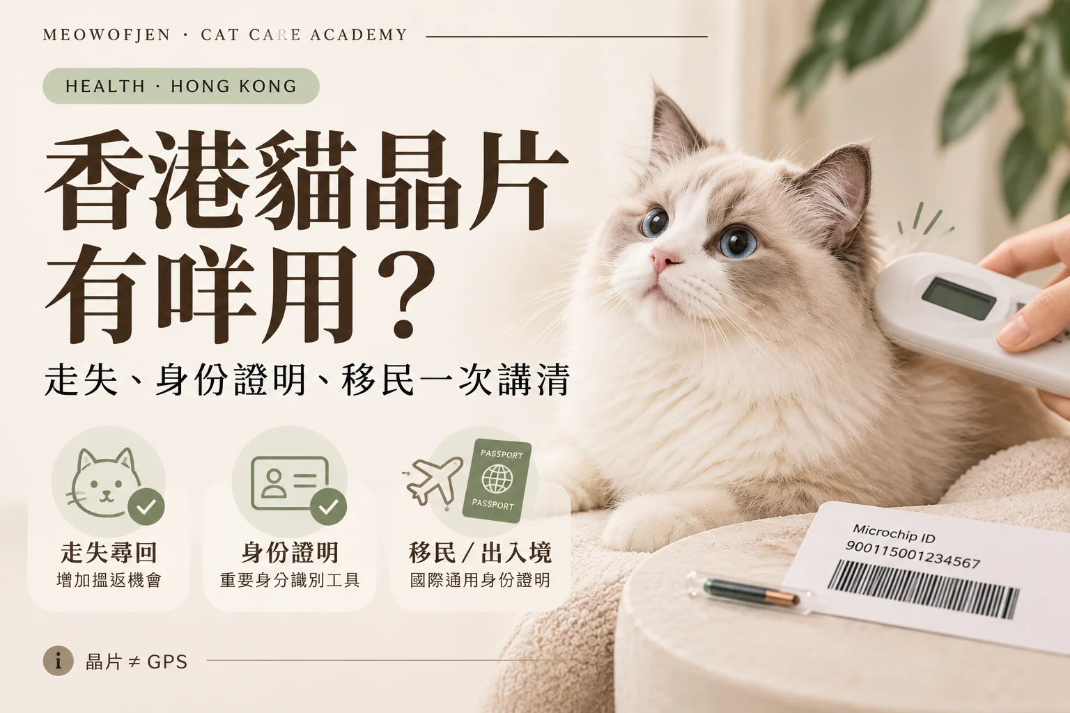 香港貓晶片用途、走失、身份證明及移民指南